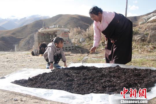 公益扶贫项目助青海玉树藏族妇女实现脱贫赋能